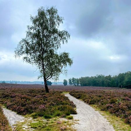 Huisje Aan De Bosrand - Veluwe Epe Exterior foto